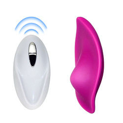 20cm drahtloser weiblicher Sexvibrator G-Punkt kleiner Eiervibrator Sex-Spielzeug Unterwäsche tragbar