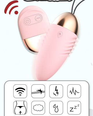 Vibrierendes Ei Fernbedienung Sex Vibrator 10 Geschwindigkeitssteuerung Kugeln Wireless Vibrator für Frauen
