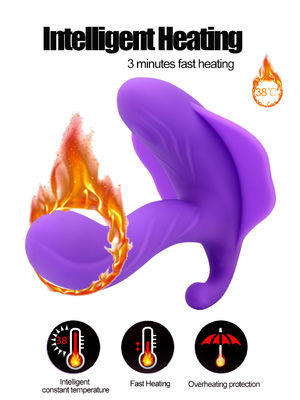 14cm Wasserdichtes Bluetooth Vibrator Sexspielzeug Wiederaufladbare Vibrierende Höschen Für Frauen