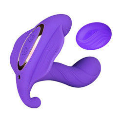 14cm Wasserdichtes Bluetooth Vibrator Sexspielzeug Wiederaufladbare Vibrierende Höschen Für Frauen