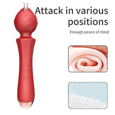 USB-Ladung Big G Spot Vibrator 24cm Pussy Handheld Vibrator Sexy 238g