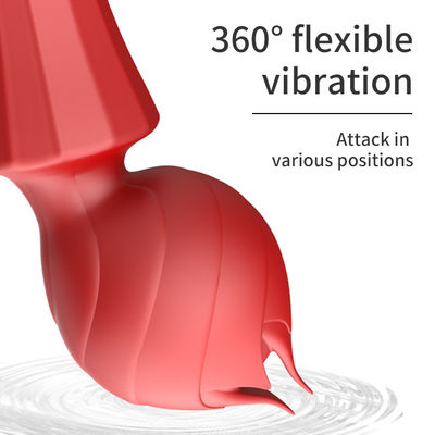 USB-Ladung Big G Spot Vibrator 24cm Pussy Handheld Vibrator Sexy 238g