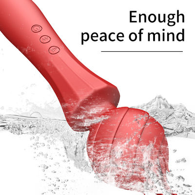 USB-Ladung Big G Spot Vibrator 24cm Pussy Handheld Vibrator Sexy 238g